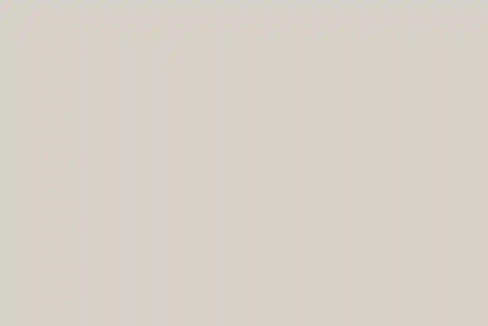 A Wedding for Julie and Paul