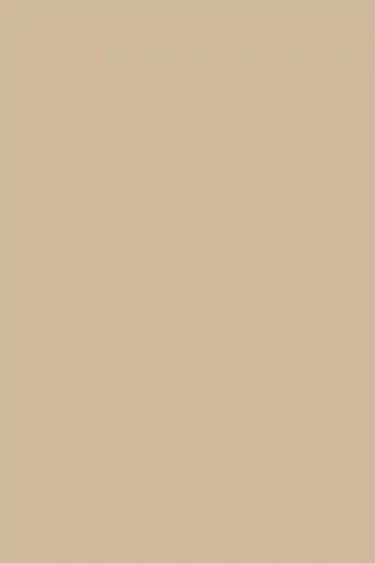 A Wedding for Colleen and Trey