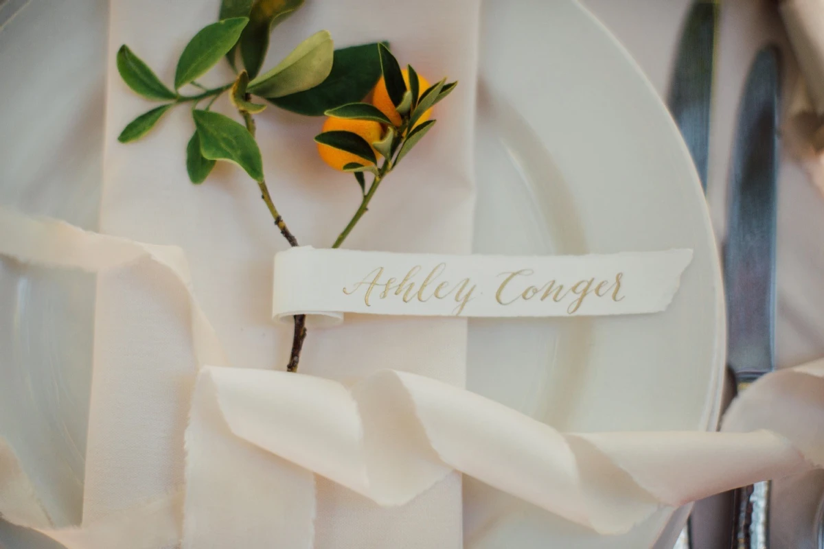 A Wedding for Ashley and Robert