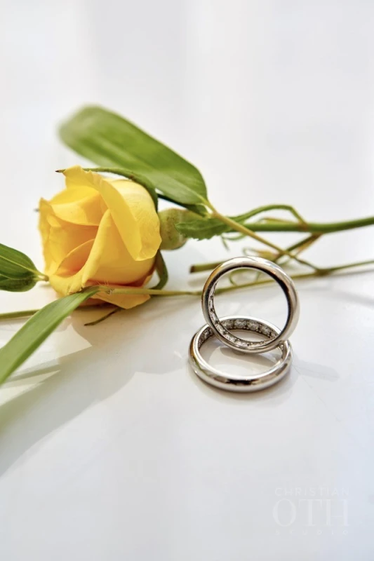 A Wedding for Mario and Travis