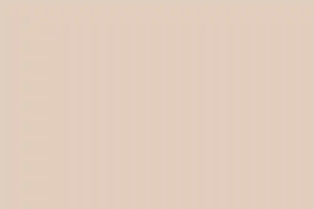 A Wedding for Anne and Will