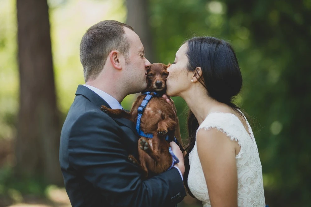 A Wedding for Mandy and Chris