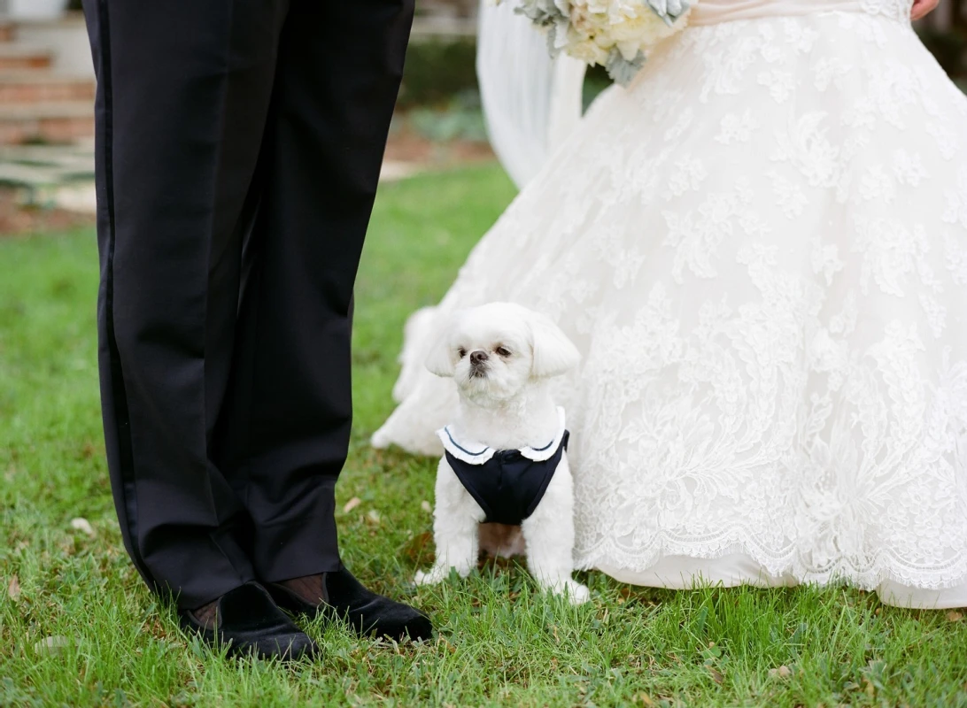 A Wedding for Amanda and Michael