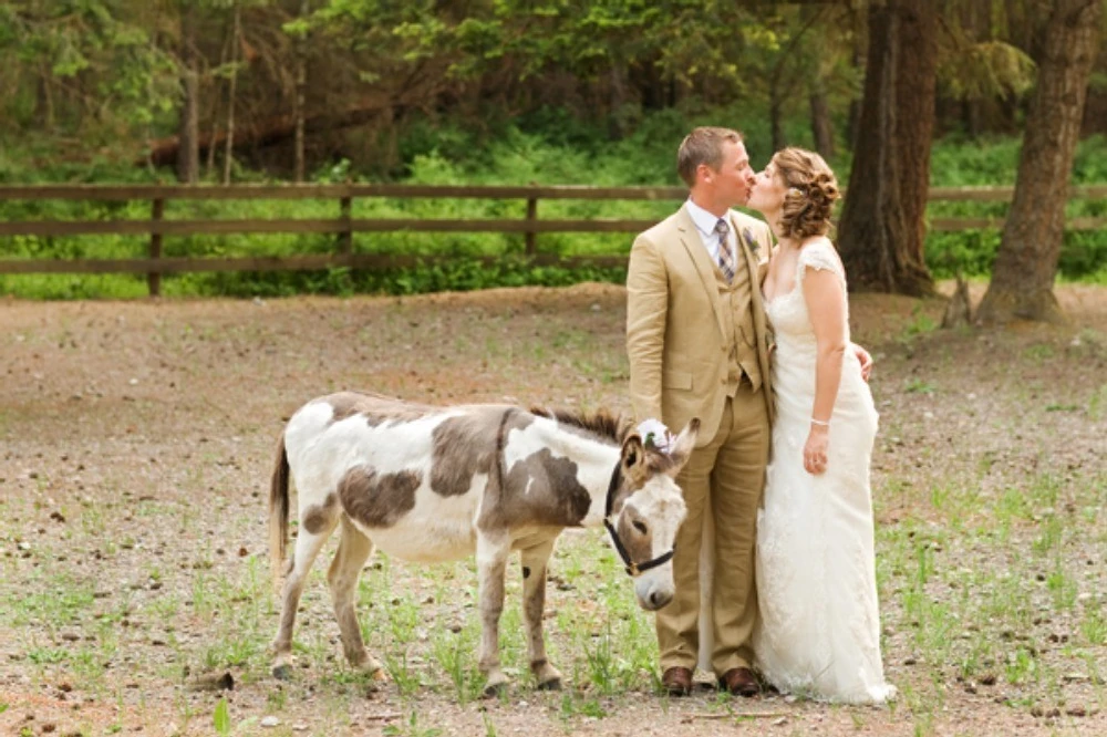 A Wedding for Lexi and Dan