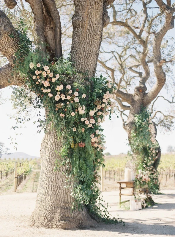 A Wedding for Rebecca and David