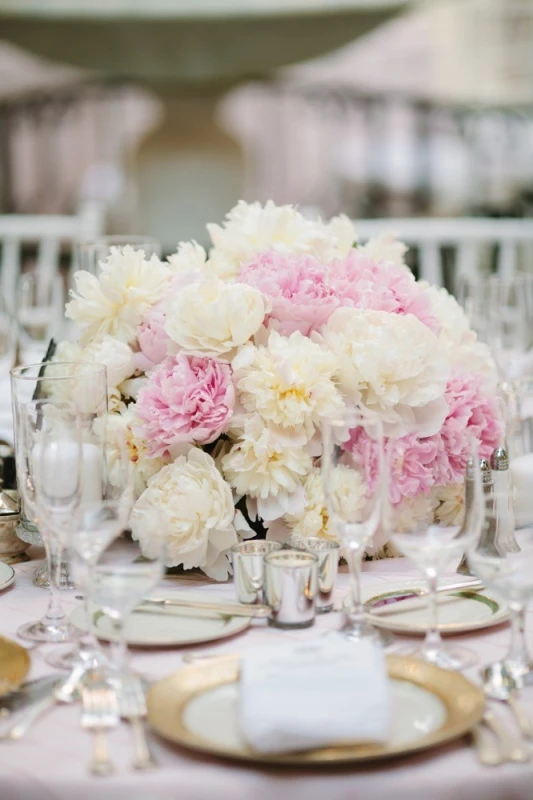 A Wedding for Logan and Ted