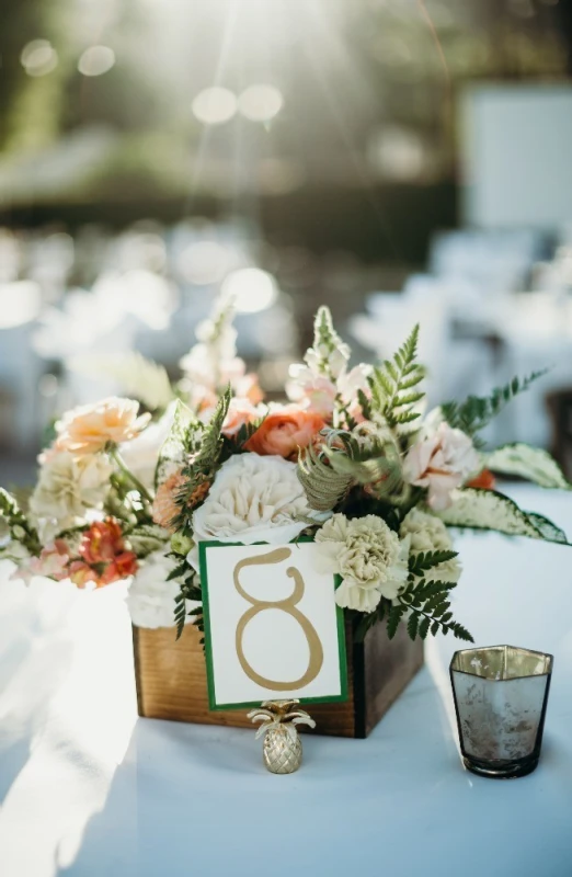 An Outdoor Wedding for Stephanie and Roger