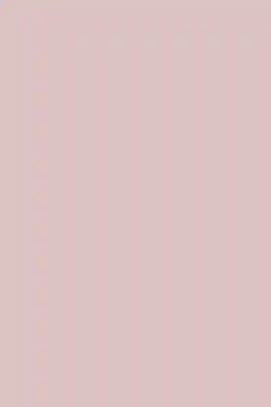 A Wedding for Elise and Burt