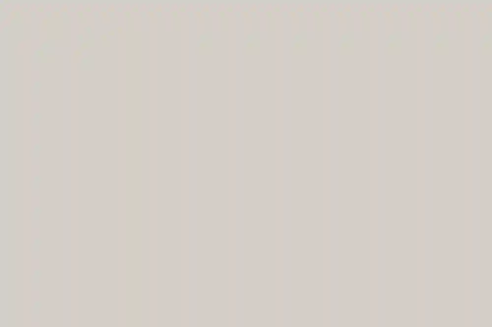 A Wedding for Sharon and Oz