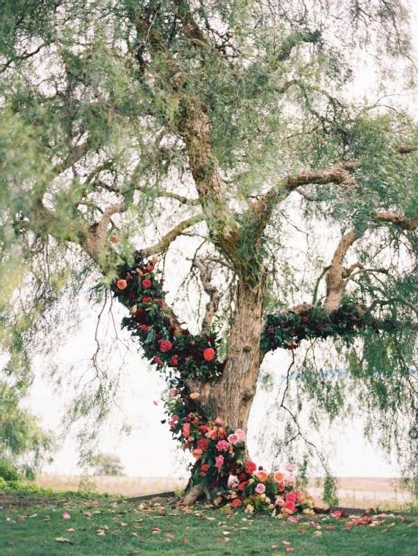 A Garden Wedding for Amanda and Daryl