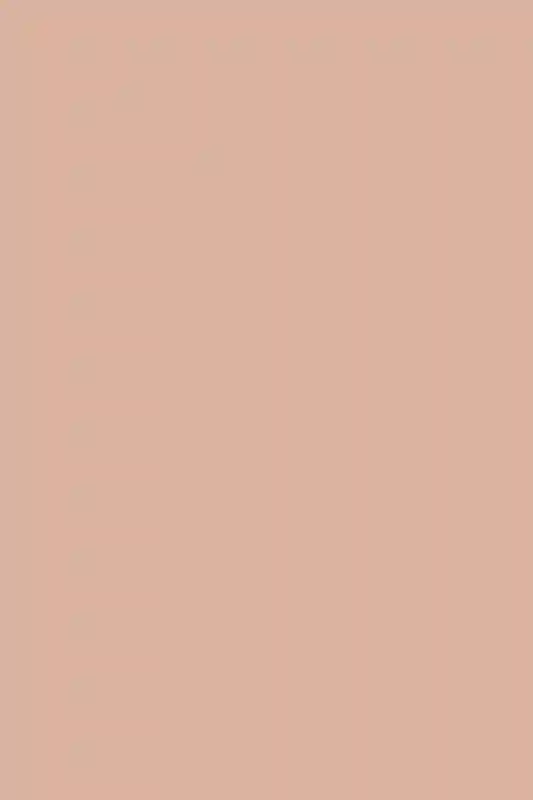 A Wedding for Elise and Burt