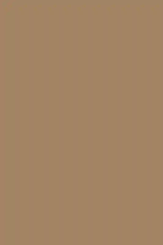 A Formal Wedding for Lauren and Ethan