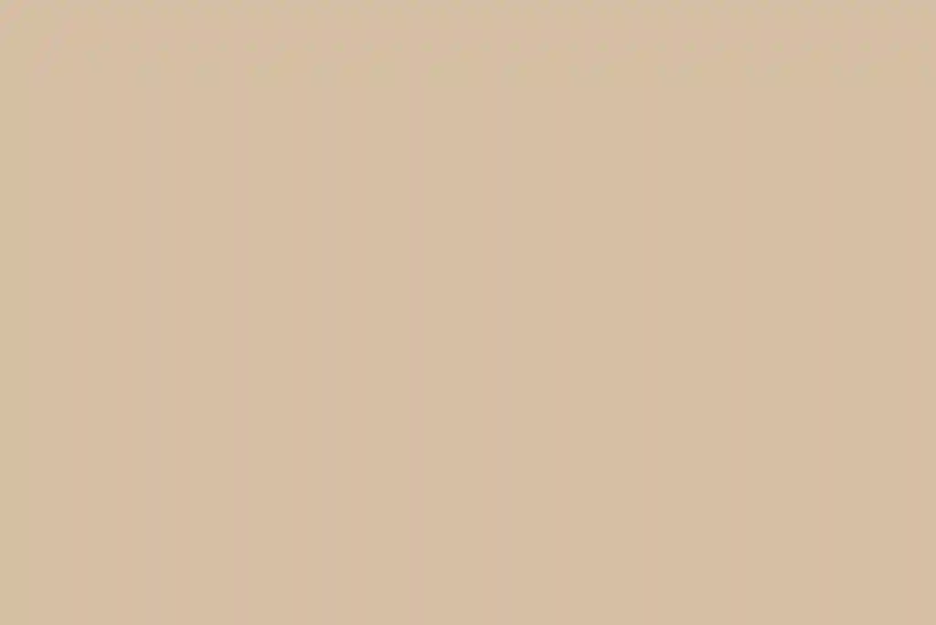 A Wedding for Lauren and Ryan