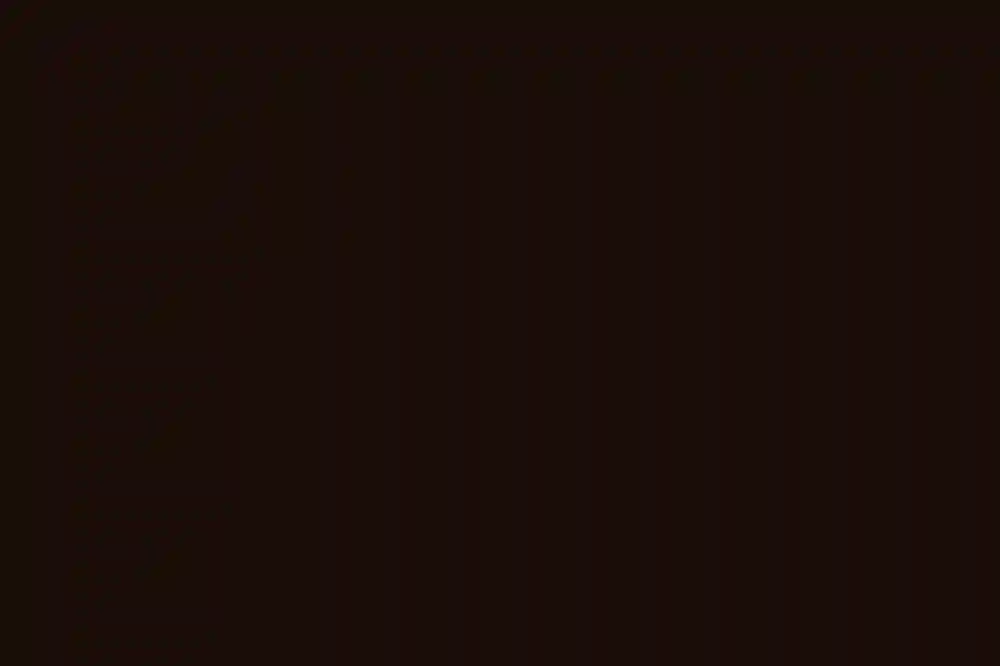 A Rustic Wedding for Casey and Scott