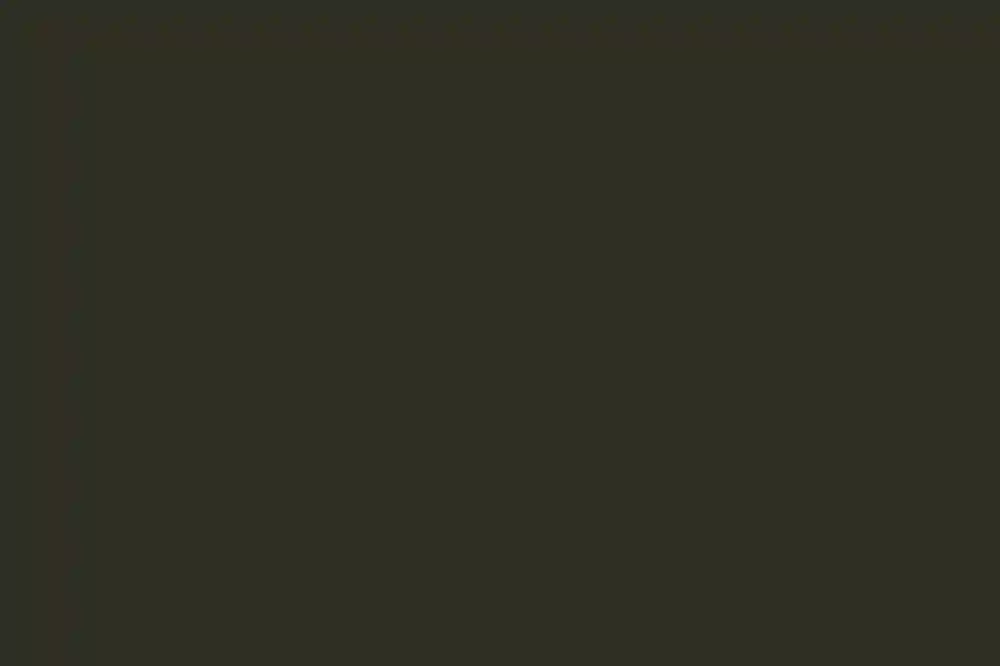 A Rustic Wedding for Ashlee and Ian