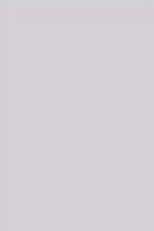 A Wedding for Elise and Burt