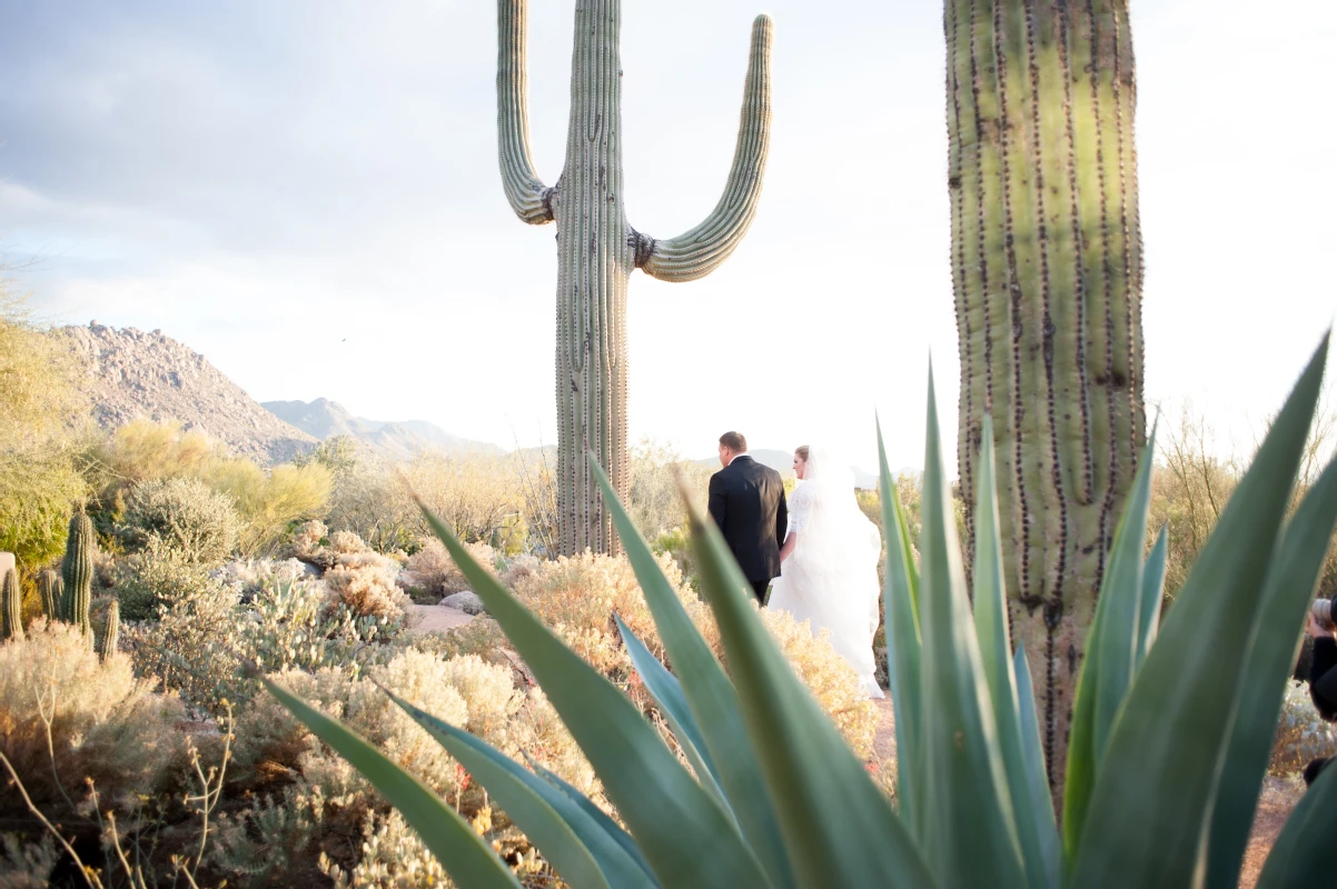 A Wedding for Amanda and Eric