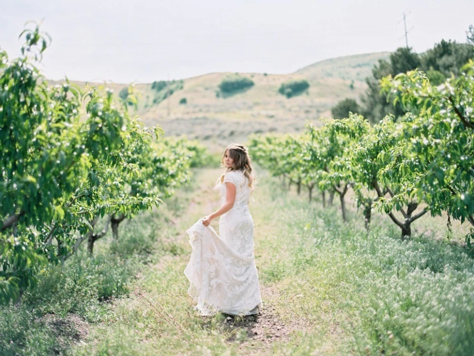 A Wedding for Kristen and Bradley