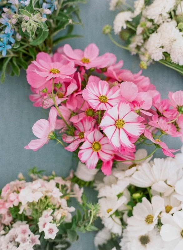 A Classic Wedding for Kyle and Teale