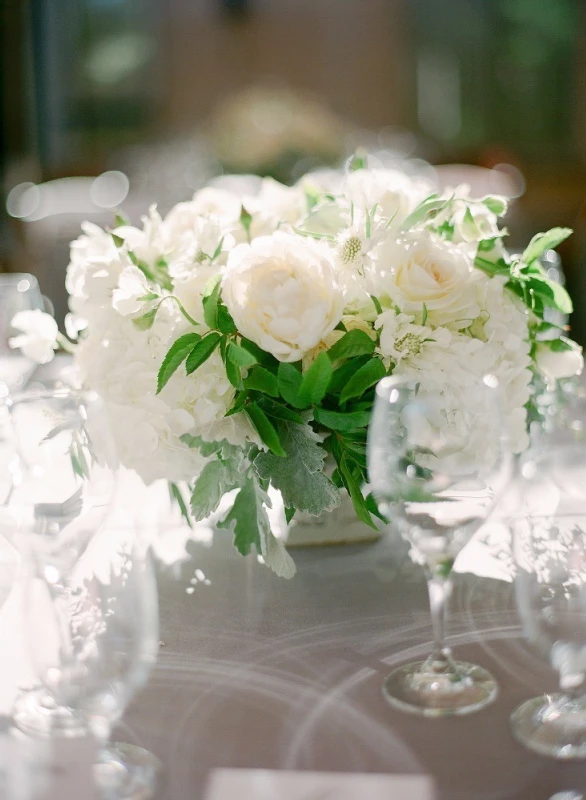 A Wedding for Jenny and Frank