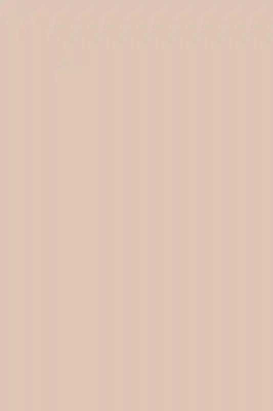 A Wedding for Emily and Dan