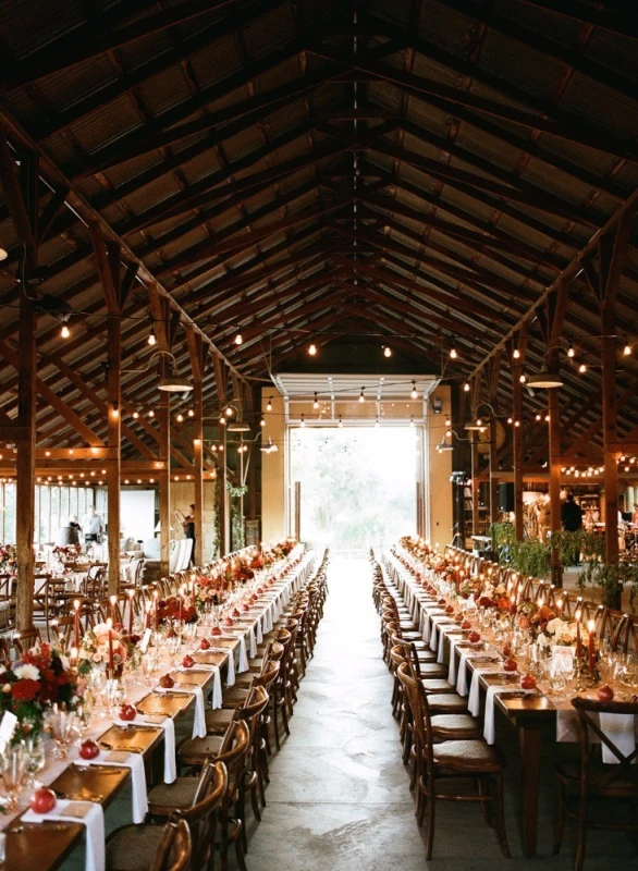 A Wedding for Margot and Marc