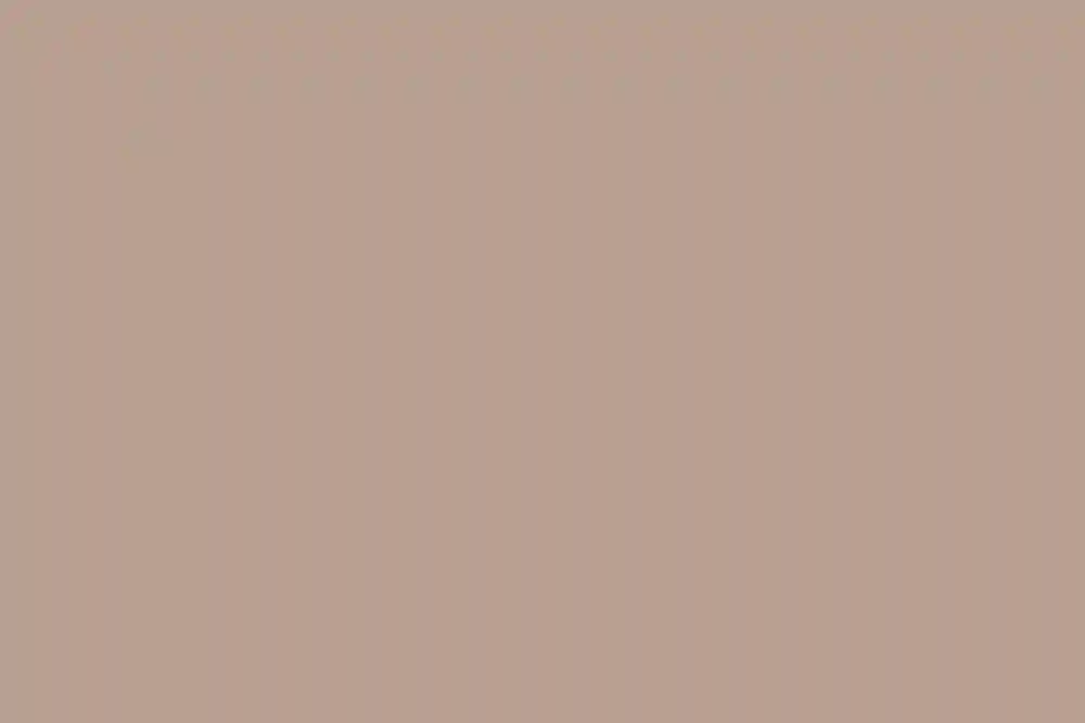 A Wedding for Amber and Clinton