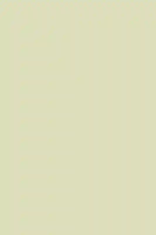 A Classic Wedding for Claire and Corey