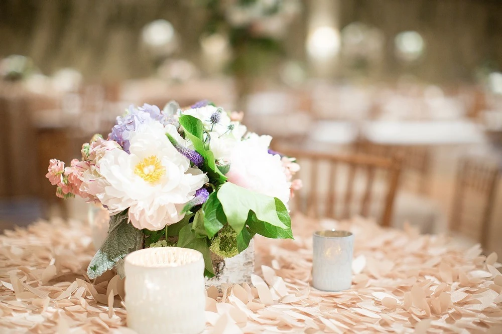 A Wedding for Mandy and Chaz