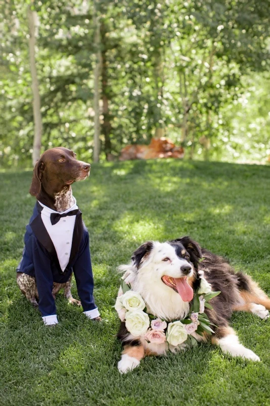 A Mountain Wedding for Mallory and Jp