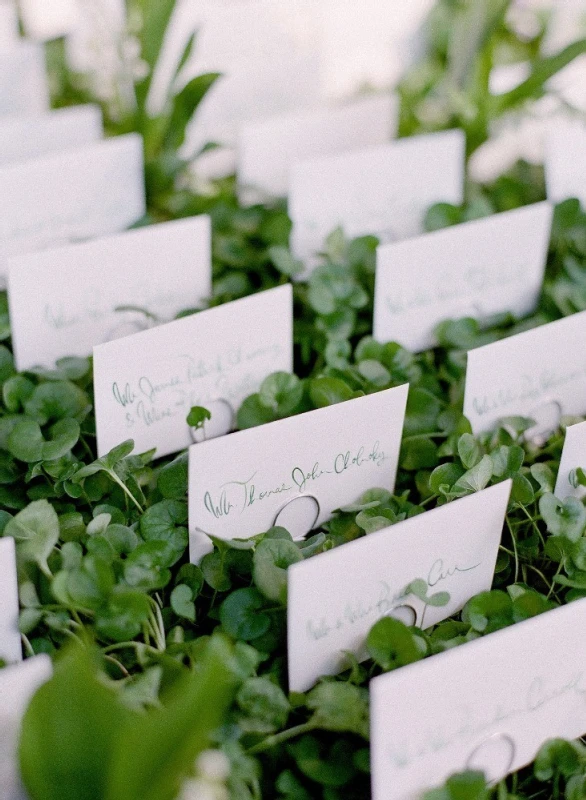 A Classic Wedding for Lauren and Roy