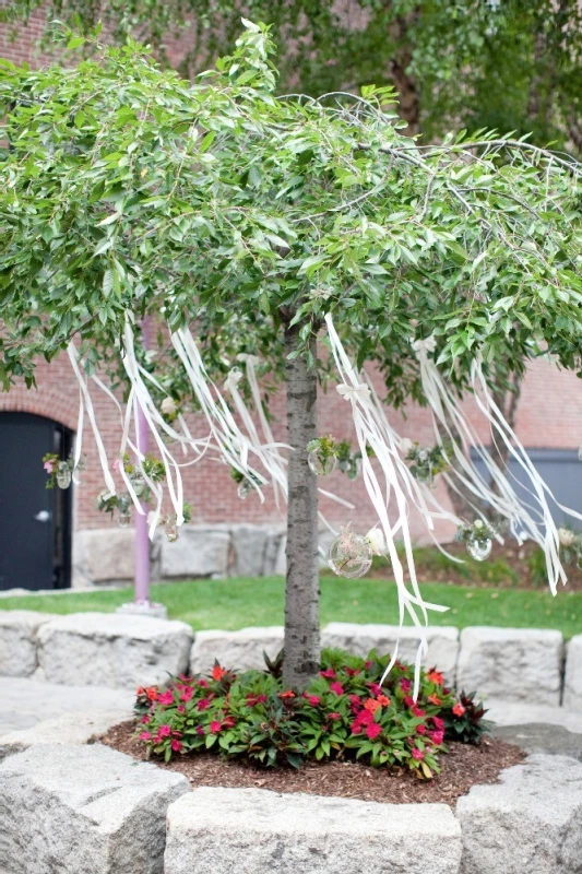 A Wedding for Lily and Andy