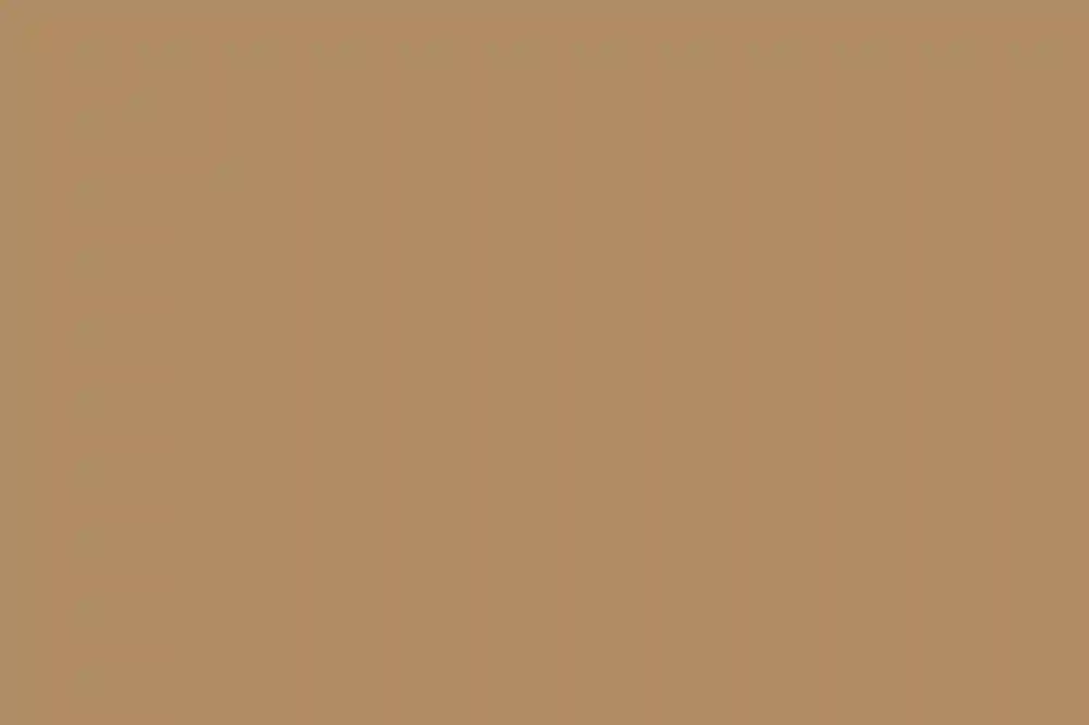 A Classic Wedding for Alex and Matthew