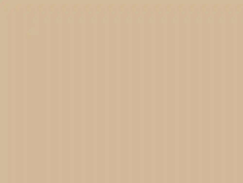 A Desert Wedding for Christine and Josh