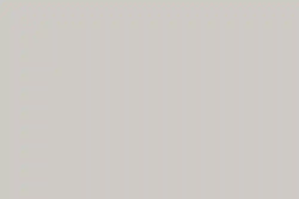 A Wedding for Ariel and John