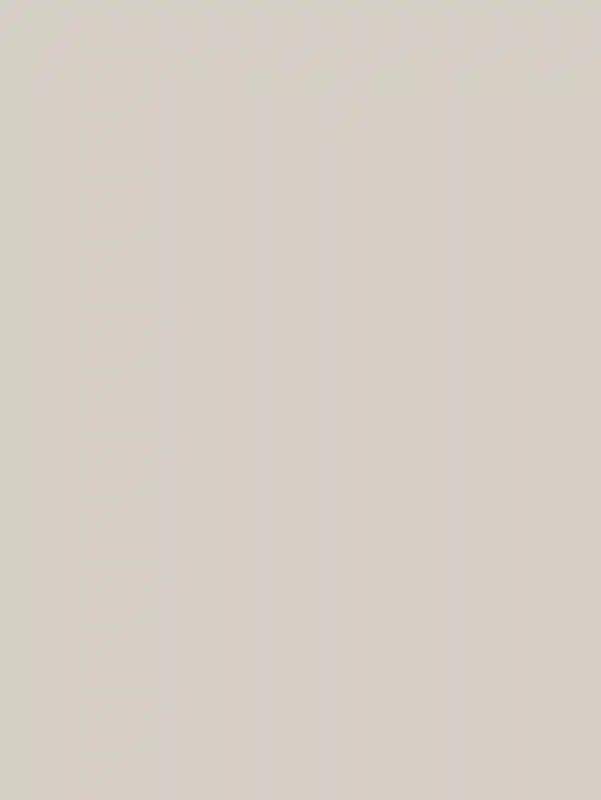 A Wedding for Vanessa and Ramez