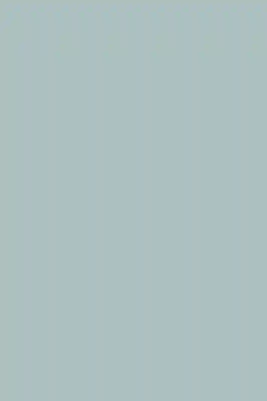 A Wedding for Elise and Burt