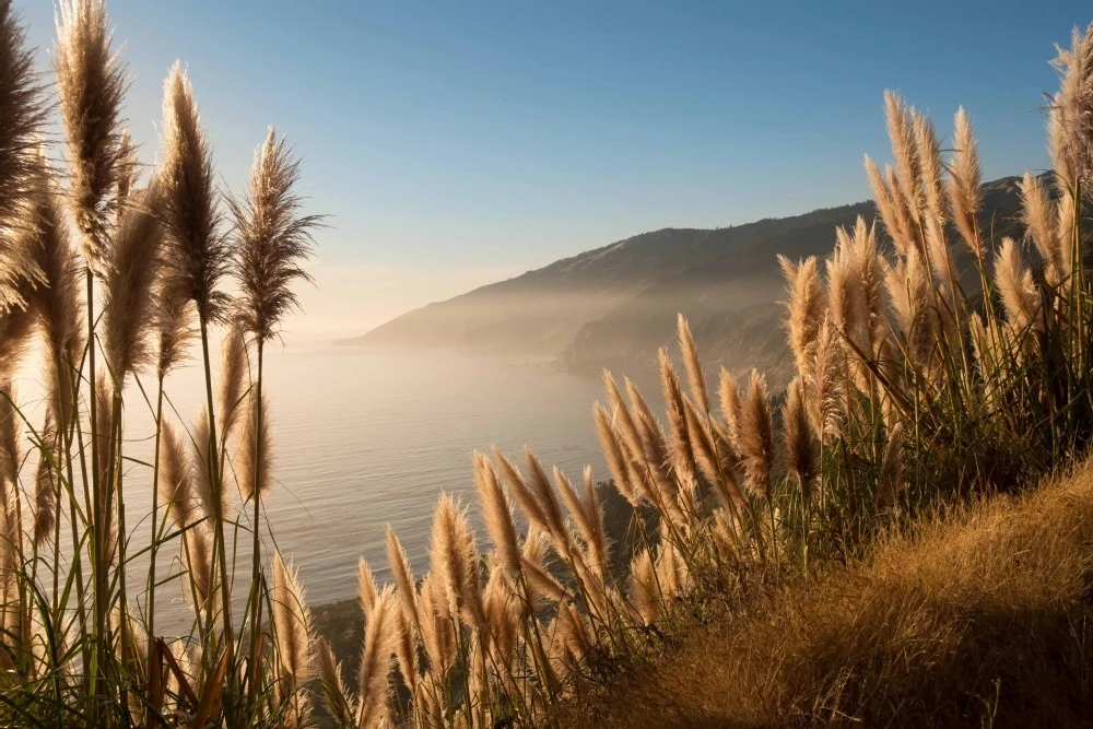 Alila Ventana Big Sur