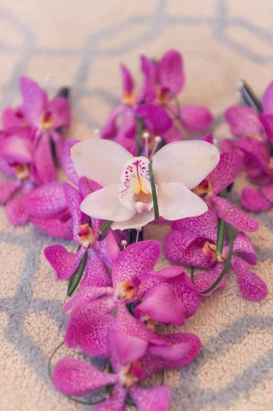 A Wedding for Carolyn and Jimmy