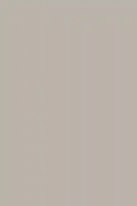 A Wedding for Caitlin and Steve