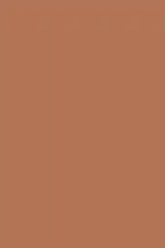 A Wedding for Michelle and Armin