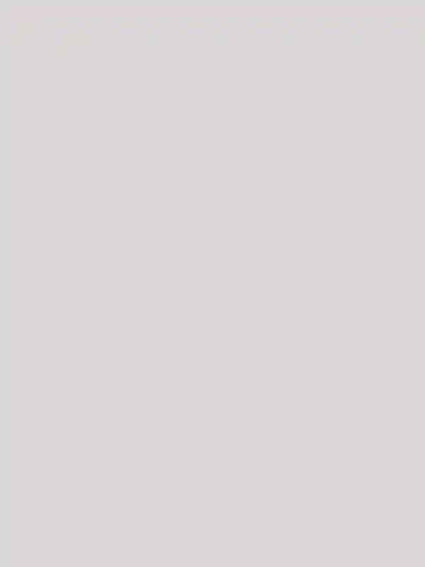 A Modern Wedding for Megan and Robby