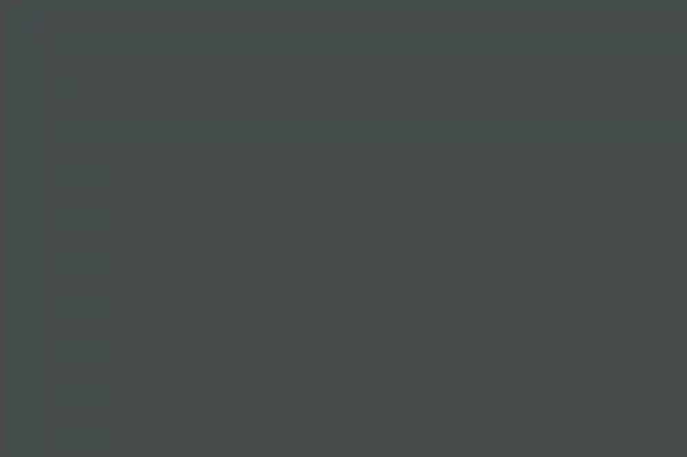 A Wedding for Julie and Eli