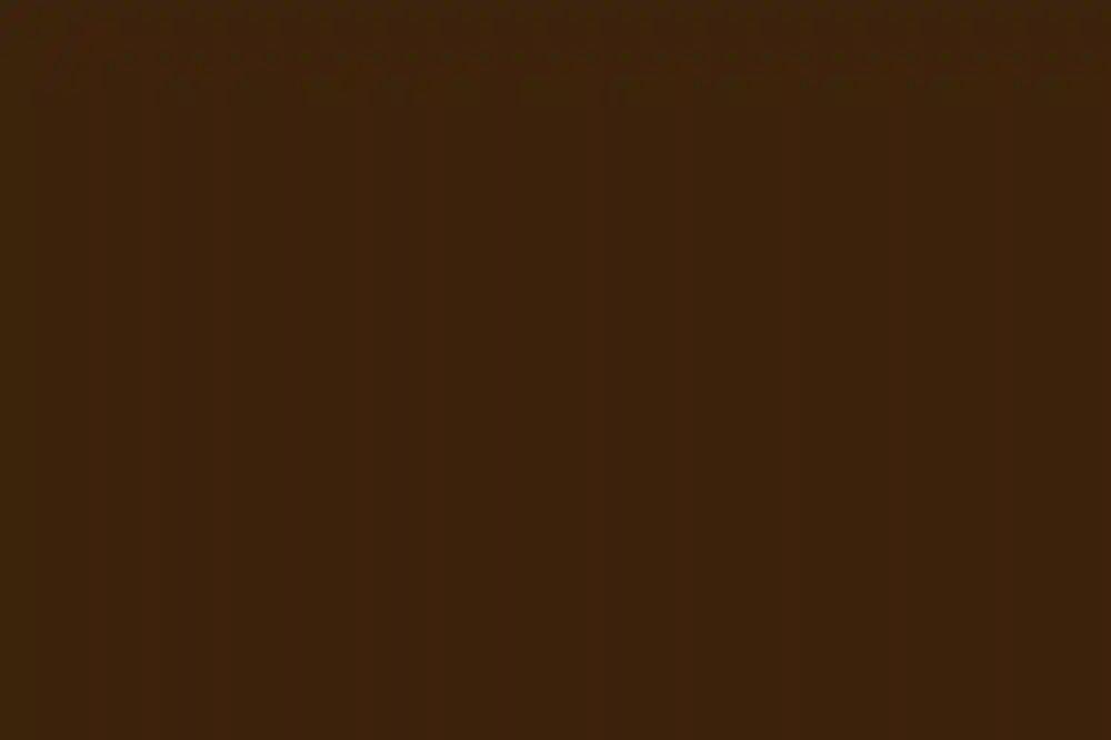 A Wedding for Alex and Jeff