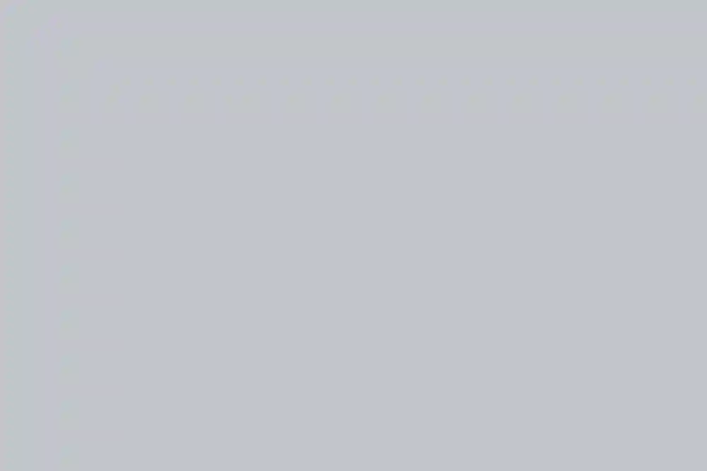 A Wedding for Rimma and Dan