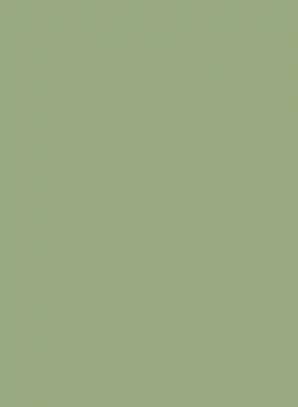 A Wedding for Melody and Paul