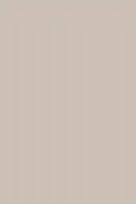 A Wedding for Ariel and John