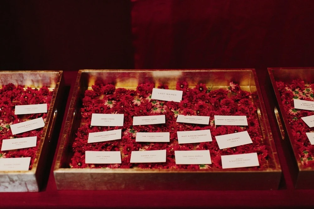 A Wedding for Judy and Prem