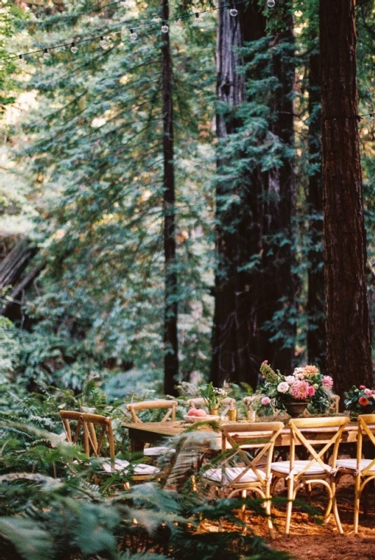 A Forest Wedding for Jenna and Eric