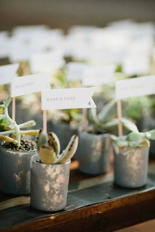 A Wedding for Jen and Collin